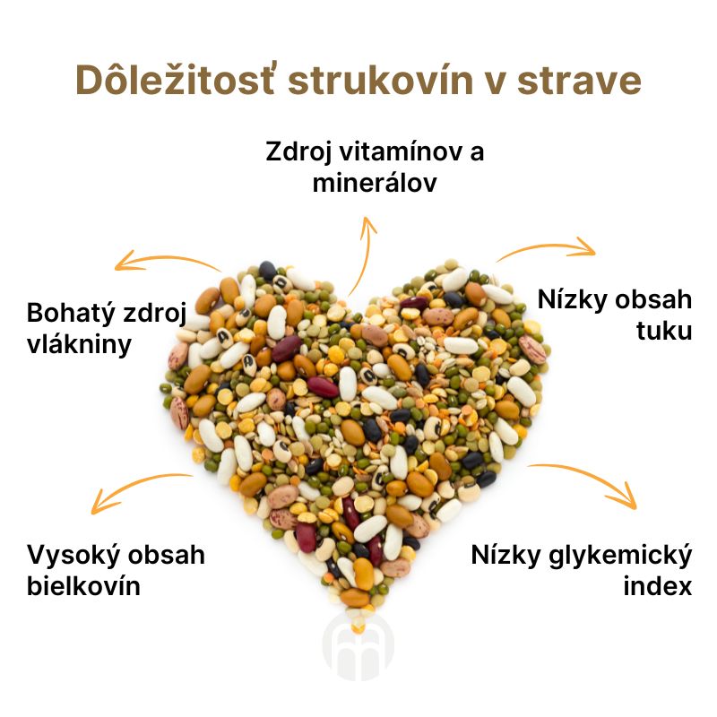 (Slovenčina) Důležitost luštěnin ve stravě (1)